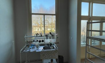 WhatsApp Image 2026-01-24 at 11.38.51